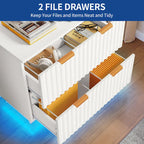 2 Drawers File Cabinet LED Lighting Lateral Filing Cabinet for Home Office